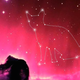 Illustration for article titled Want To Honor Your Late Pet? Send Its Remains into Deep Space!
